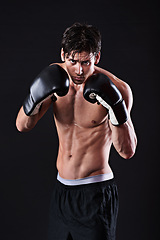 Image showing Man, portrait and boxing gloves in studio for exercise fight or martial arts training or performance, black background or gym. Male person, face and self defence fitness for athlete, mockup or punch