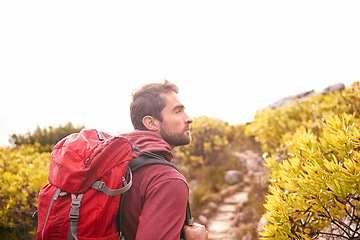 Image showing Hiking, vision and man with backpack in nature, path and mountain for outdoor adventure. Male person, athlete and sport in environment for exercise, fitness and health with plants by landscape