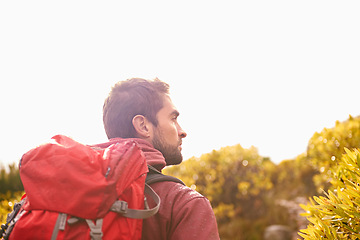 Image showing Hiking, thinking and man by tree, nature and rock for outdoor adventure on mountain. Male person, athlete and sport in environment for exercise, fitness or health with backpack by plants in forest