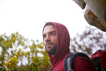 Image showing Man, tree and hiking in nature for fitness, wellness and exercise for training and adventure in environment. Young person with backpack in mountain for workout and trekking in morning for travel