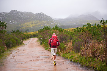 Image showing Hiking, back view and man with walking outdoor for travel, backpack and nature for fresh air and fitness. Trekking, mountain trail and rough terrain for adventure, journey and exercise on trip