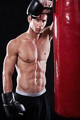 Image showing Boxer, training and portrait of man in studio with punching bag for workout, exercise or fight competition with dark background. Gloves, boxing and male athlete for confident, martial arts or fitness