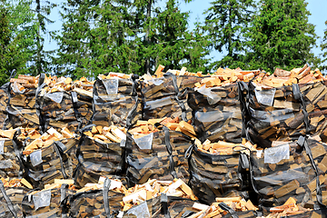 Image showing Bags of Firewood at Edge of Forest 