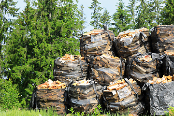 Image showing Stacked Bags of Firewood at Edge of Forest