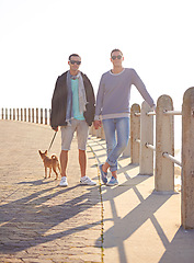 Image showing Dog, walking and lgbtq men in park for summer bonding, love and outdoor happiness. Animal, romance and gay couple on path together for weekend date, relax and partner in sunshine with pet puppy