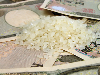 Image showing Rice and money