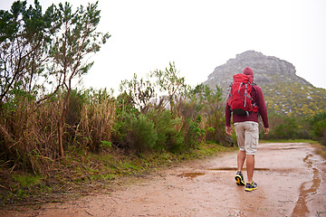 Image showing Hiking, nature and man back with backpack, workout and adventure outdoor on mountains and path with plants. Journey, fitness and walking with camping gear and bag for exercise and explorer with trail