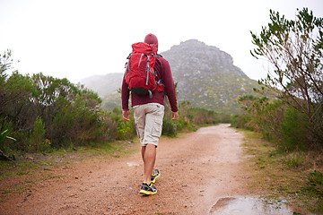 Image showing Hiking, nature and man back with backpack, travel and adventure outdoor on mountain path with plants. Journey, fitness and walking with camping gear and bag for exercise and explorer with training