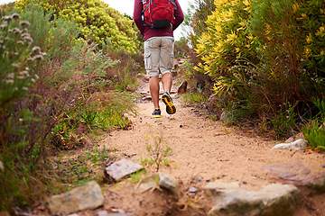 Image showing Hiking, nature and person back with backpack, workout and adventure on mountains and path with plants. Journey, fitness and walking with camping gear and bag for exercise and explorer with trail