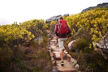 Image showing Hiking, nature trail and man back with backpack, travel and adventure on mountain path with plants. Journey, fitness and walking with camping gear and bag for exercise and explorer with holiday