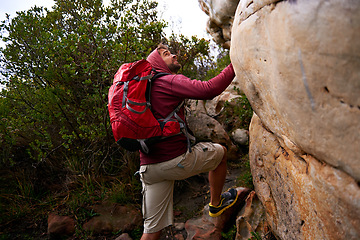 Image showing Rock climbing, hiking and man on mountain, nature and environment for outdoor adventure. Male person, athlete or sport in environment for exercise, fitness or health with backpack by plants in forest