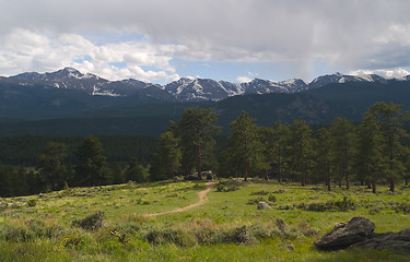 Image showing Path Into Mountain Rain