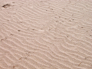 Image showing Sand beach texture