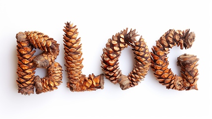 Image showing The word Blog created in Pine Pinecone Letters.