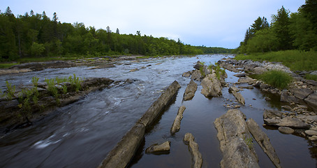 Image showing Looking Upstream