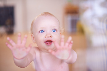 Image showing Female baby, window and hands with blue eyes in house learning for child development, growth and motor skills. Kid, glass and body with smile in home watching for walking, observing and awareness