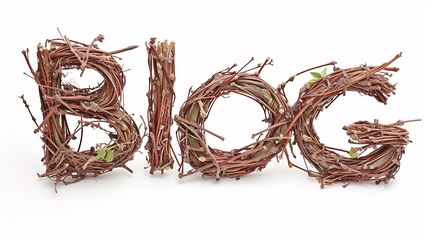 Image showing The word Blog created in Willow Twig Letters.