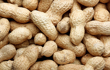 Image showing Peanuts