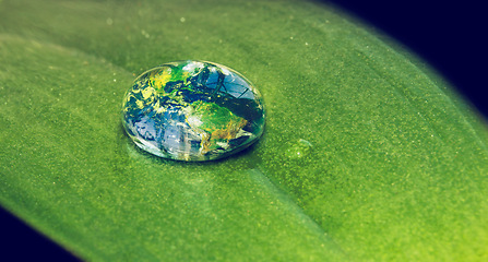 Image showing Water, drop and leaf with earth for sustainability and awareness of climate change, nature and environment. Globe, plant and droplet on blade of grass for eco friendly, future and clean energy