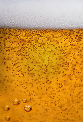 Image showing beer