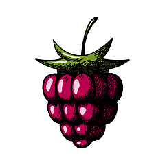 Image showing Icon Of Raspberry