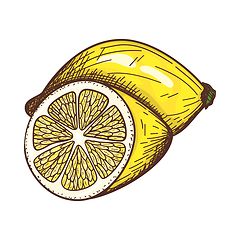 Image showing Icon Of Lemon