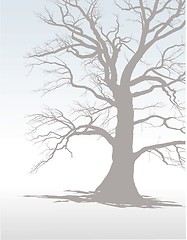 Image showing Tree In Winter Fog 1