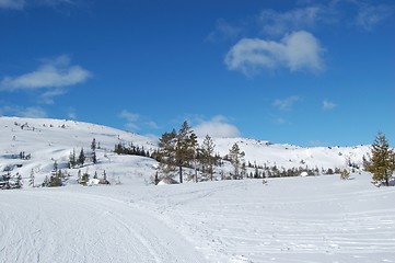 Image showing Winterday