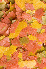 Image showing Goldfish Food