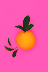 Image showing Gaudy Summer Orange Citrus Fruit Design