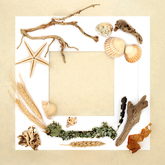 Image showing Nature Study of Nature Objects Background Frame