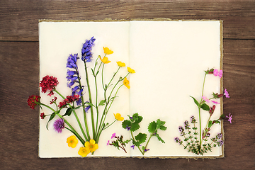 Image showing Wildflower Collection of British Flowers for Herbal Medicine