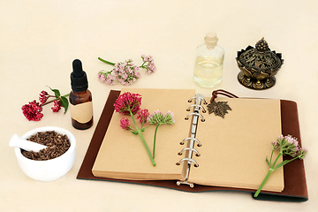 Image showing Valerian Herb Root For Natural Herbal Medicine