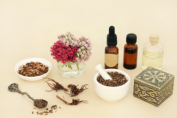 Image showing Valerian Herb Root Tranquilizing Herbal Medicine 