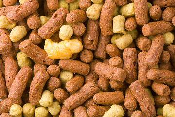 Image showing Reptile Pellets