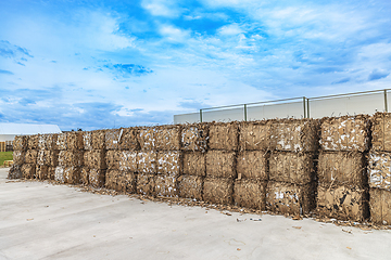 Image showing Large bales of compressed cardboard