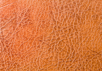 Image showing Leather Texture