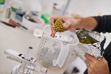 Image showing Hands, beer manufacturing with hops or barley in measuring cup, factory or brewery for craft drink. Natural ingredients, organic and distillery, person and alcohol production in lab for industry