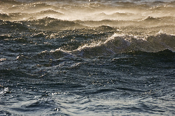 Image showing Rough sea