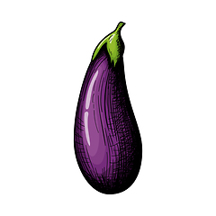 Image showing Eggplant Icon