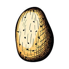 Image showing Potato Icon