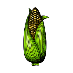 Image showing Corn Icon