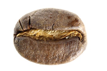 Image showing Coffee Bean