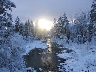 Image showing winter creek