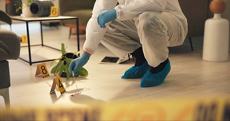 Image showing Crime scene, swab and police in house for evidence, investigation and inspection. Law enforcement, forensic analysis and investigator with container for DNA in apartment of victim, murder and search