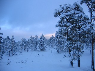 Image showing Winter landscape