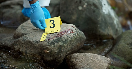 Image showing Hands, evidence marker and csi for investigation at crime scene with blood on rocks or gloves for safety in river. Forensic expert, investigator and case research with observation by water stream