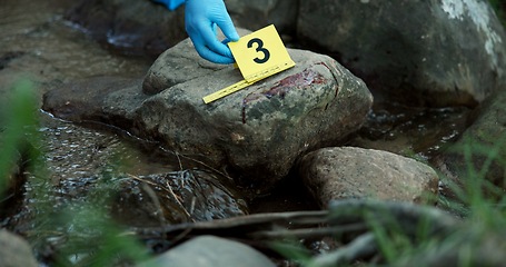 Image showing Hands, evidence marker and forensic for investigation at crime scene with blood on rocks or gloves for safety in river. Csi expert, investigator and case research with observation by water stream