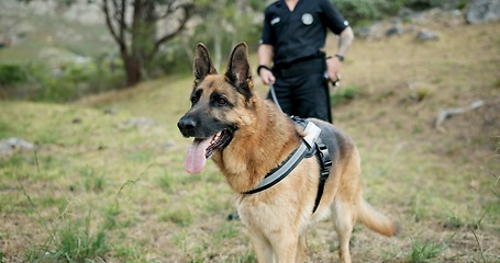 Image showing Police man, dogs and at crime scene on field, first responder and law enforcement for investigation in k9 unit. Emergency response, canine search and rescue and sniffer dog for human scent or drugs