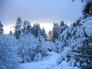 Image showing winter landscape